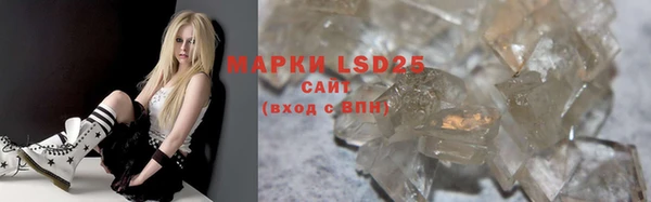 spice Богданович