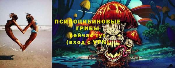 гидропоника Богородск
