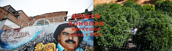 spice Богданович