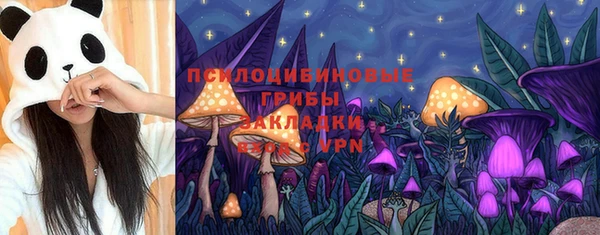 гидропоника Богородск