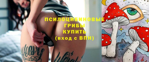 spice Богданович