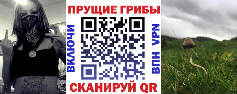 Галлюциногенные грибы прущие грибы  blacksprut сайт  Демидов 